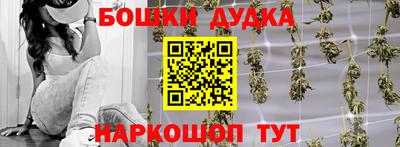 бошки Дубна