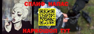 бошки Дубна