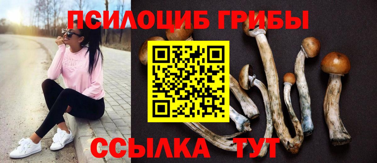Галлюциногенные грибы Magic Shrooms  Вход с VPN  Псилоцибиновые грибы Psilocybine cubensis  Лениногорск 